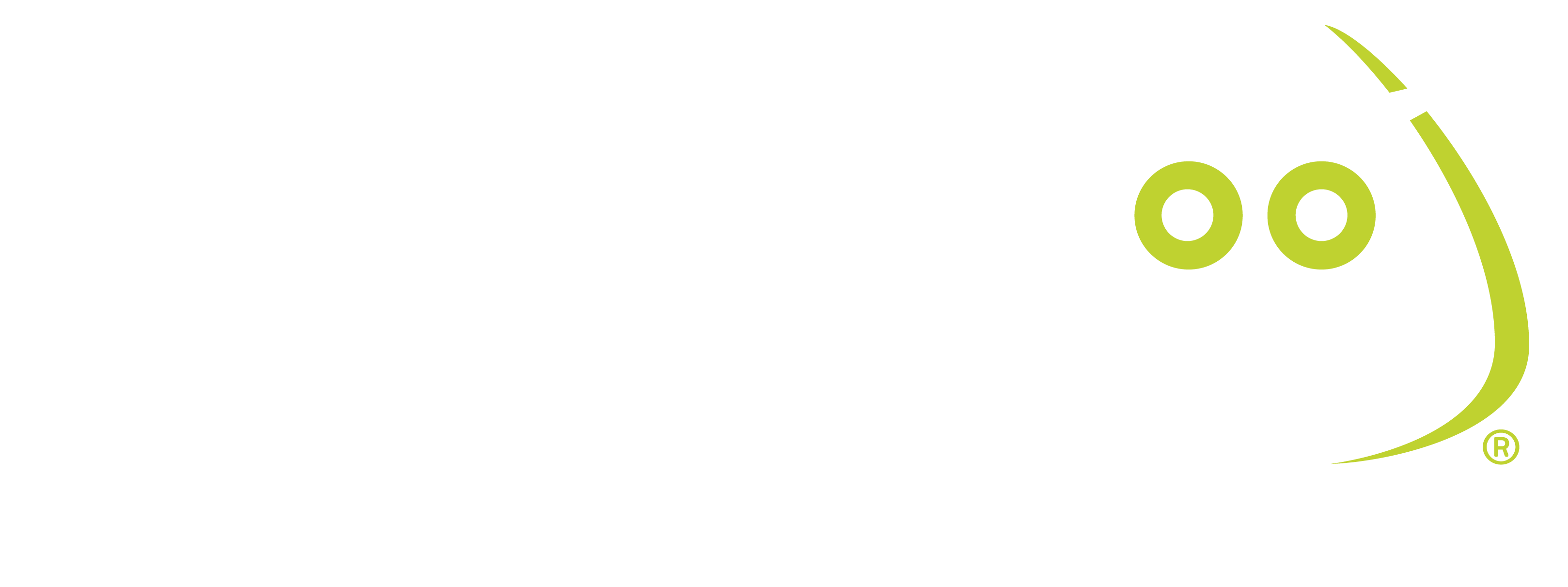 WISE — Wireless Industry Service Excellence