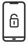Software Issue repair